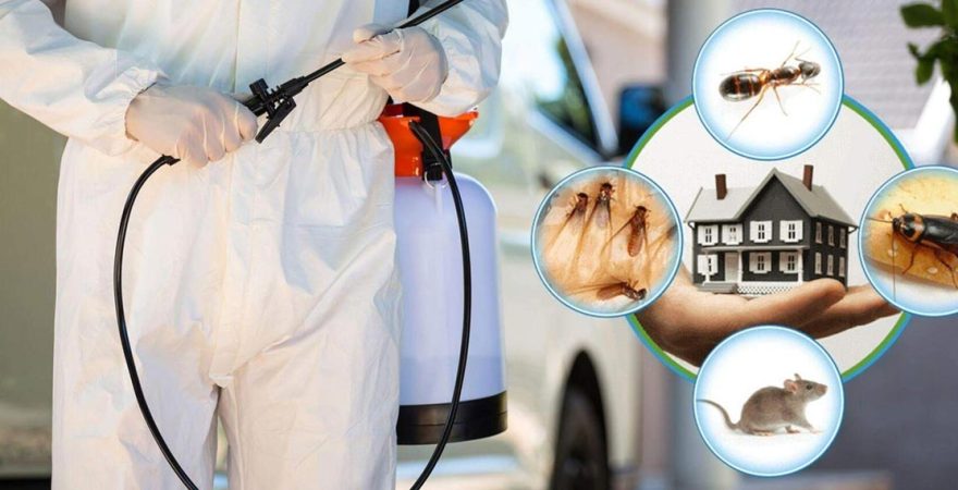 Buca Böcek İlaçlama